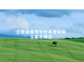 云南省成考專(zhuān)升本考試科目