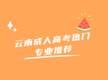 云南成人高考熱門專業(yè)